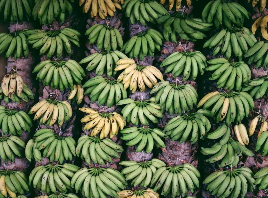 Nasad banan