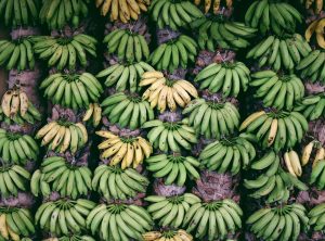 Dobavitelj banan Chiquita odpušča na tisoče stavkajočih delavcev
