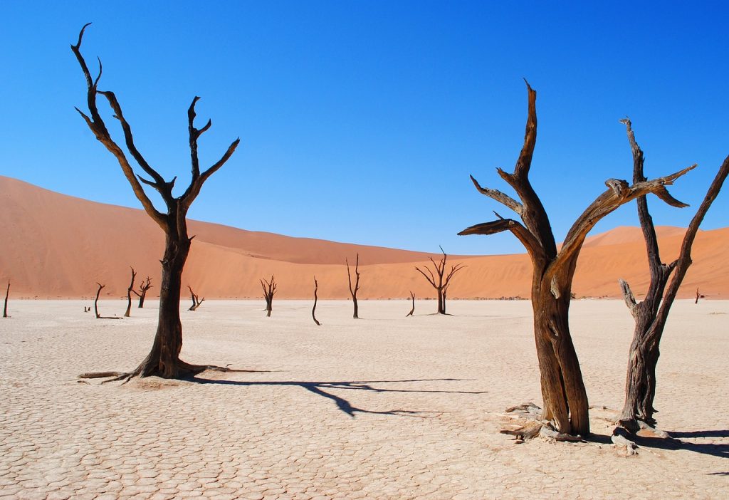 Namibia desert
