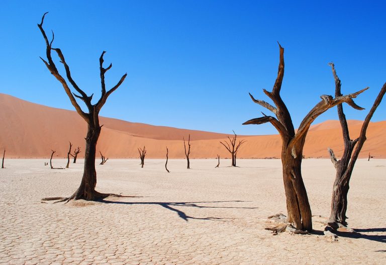Namibia desert