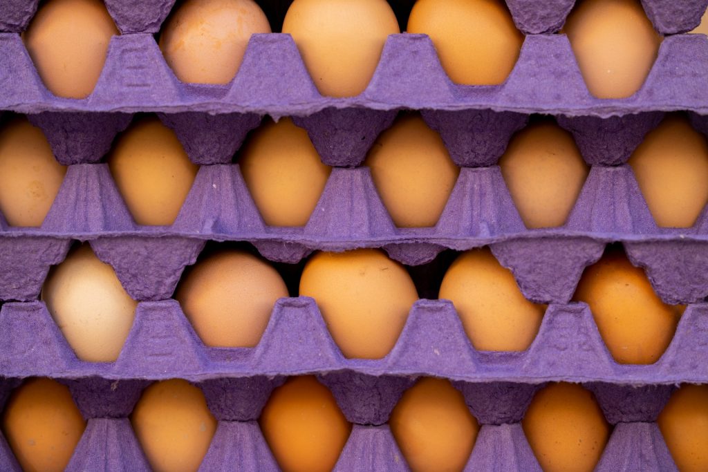 Cartons of eggs