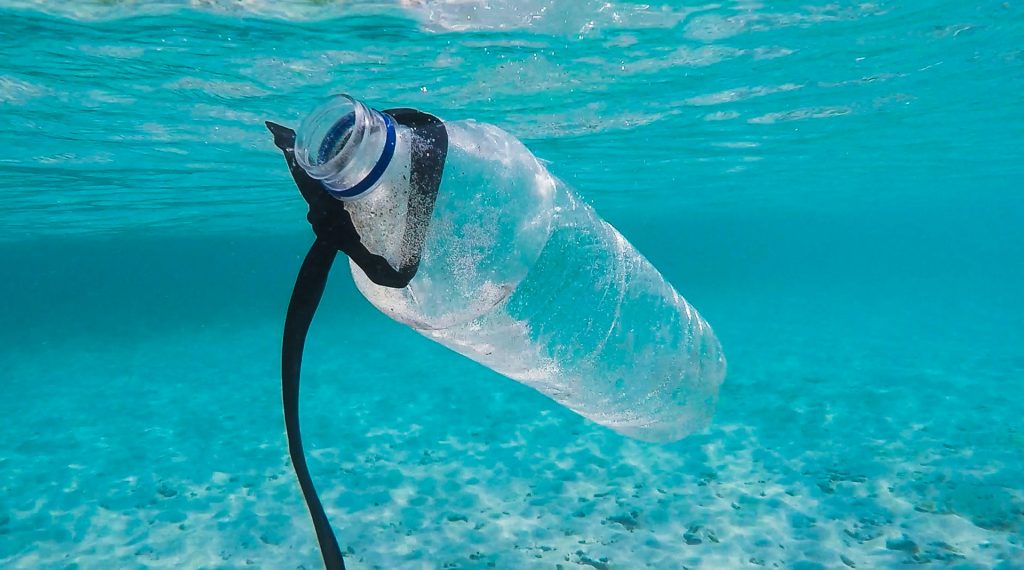 Plastic bottle in water
