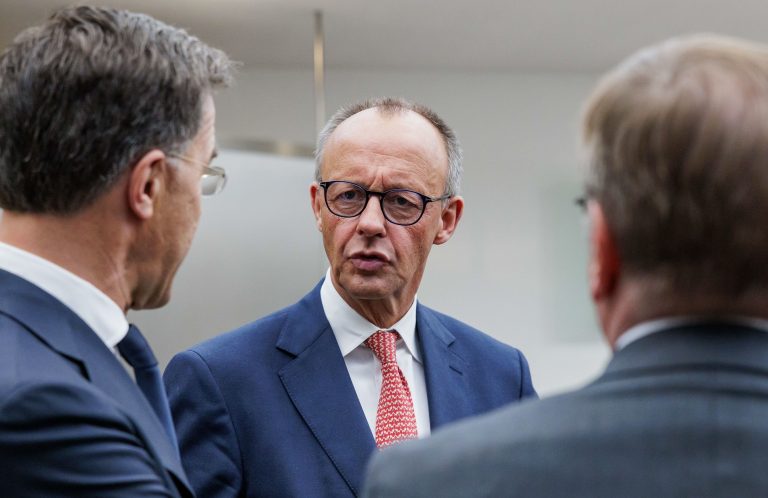 Friedrich Merzu