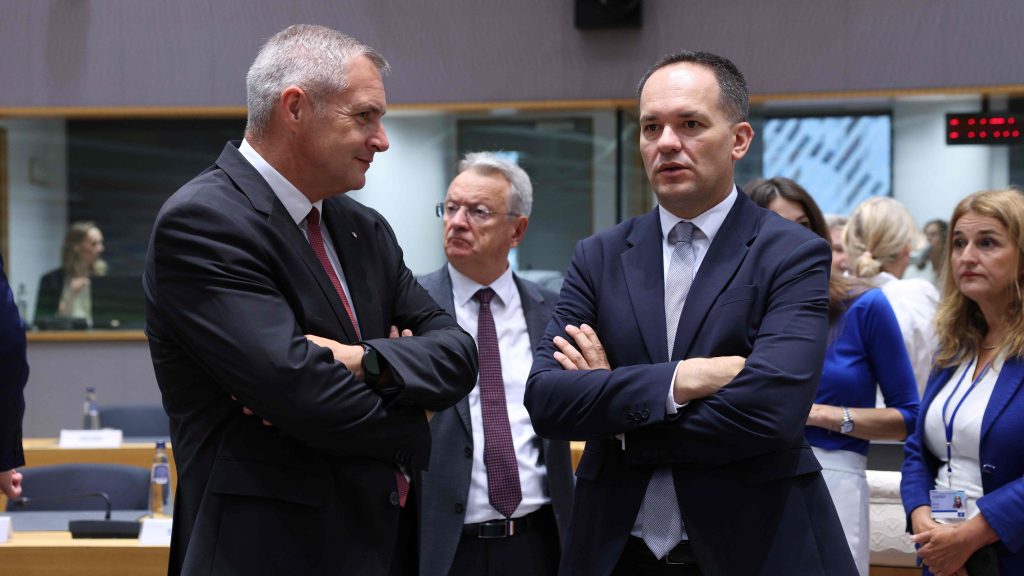 Dejan Židan, Evropska unija