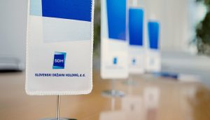 SDH z rekordnim dobičkom – državni portfelj v zgodovinskem vzponu