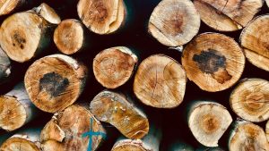 Les, hlodi, industrija, lesarstvo