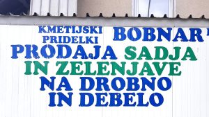 Kmetija Bobnar