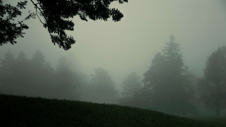 Tivoli, megla, park, drevesa, onesnaženje