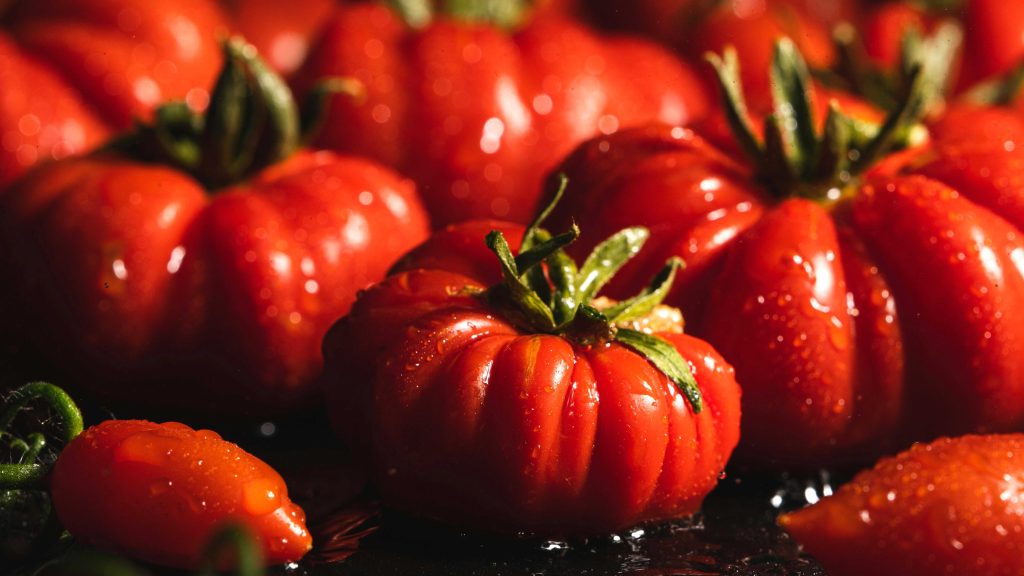 Paradižnik, pridelek, kmetijstvo, hrana