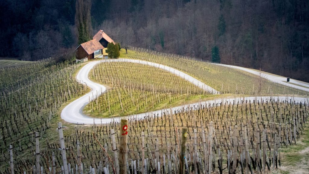 Kungota, Slovenija, Maribor