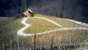 Kungota, Slovenija, Maribor