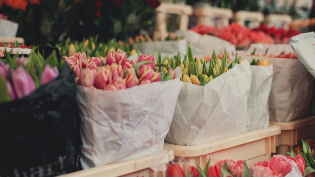 cvetje, rezano cvetje, rastline, trgovina