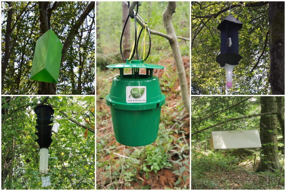 pasti, škodljivci, nadzor