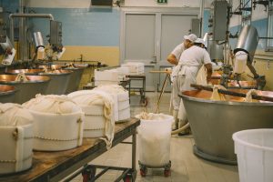 delavci, delo, tovarna, sirarna