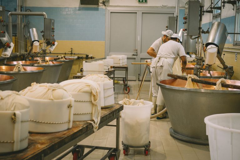 delavci, delo, tovarna, sirarna