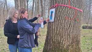 Natura 2000, Mura, Drava