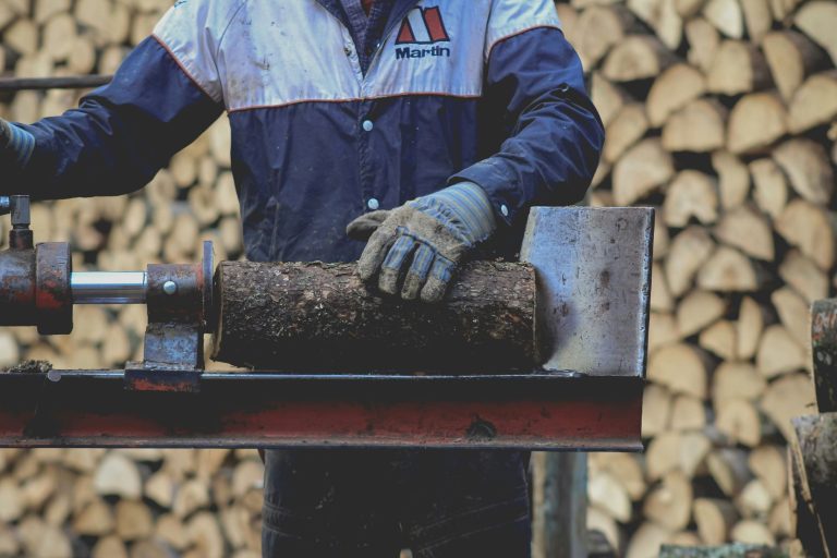 43 milijonov evrov za krožno gospodarstvo in predelavo lesa. Kaj od tega je ostalo?