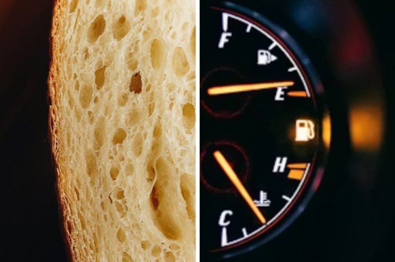 Vlada pripravlja podlago za regulacijo cen hrane in energentov