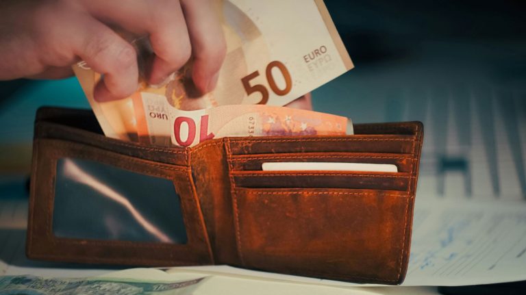 plača, denar, evro, euro, plače, denarnica