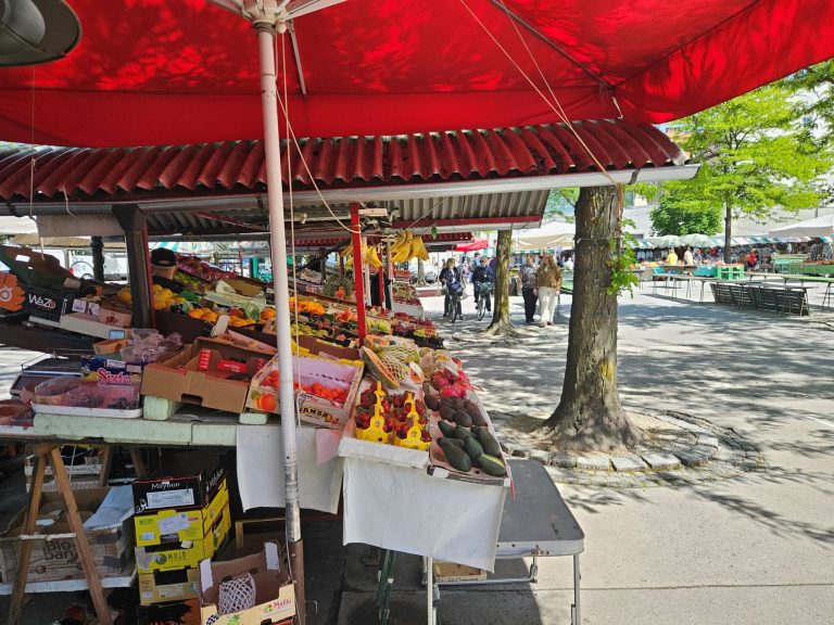 Kivi po petih letih dobil zdravstveno trditev, slovensko sadje je še vedno nima